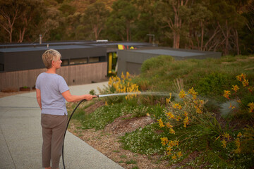 Woman watering native garden at sunset