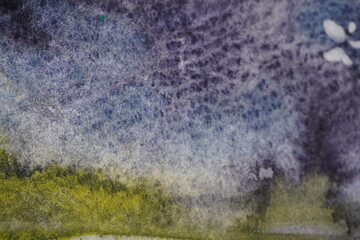 水彩画　水彩　背景　ウオーターカラー　グラフィック　抽象的な　宇宙観　手書き　絵の具　水彩 カラフル　背景　バックグランド　自然　花