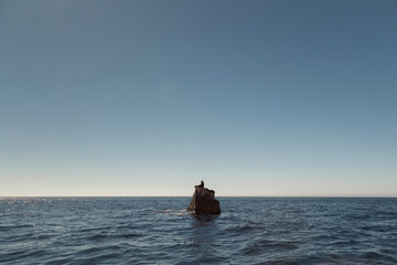 A seal resting on a stone in the middle of the sea