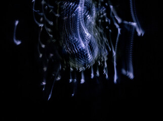 abstract image of blue highlights in motion