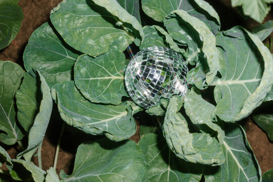 conceptual still life with different materials