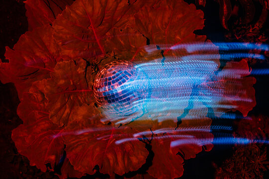 conceptual image with plants and glass in neon light