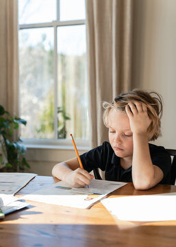 Little boy doing homework at dining room table