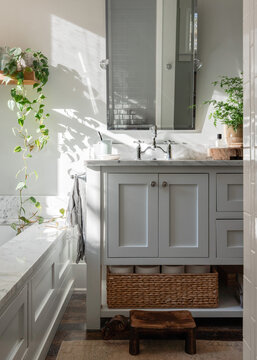 Farmhouse style bathroom with plants