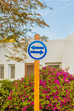 A sign with arrows in different directions with flowers