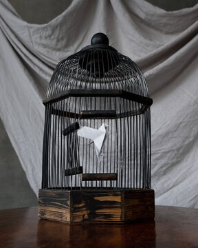 Paper bird in a cage