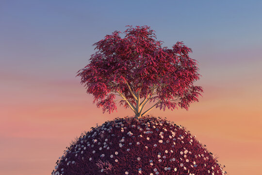 Spherical grassland in red tones