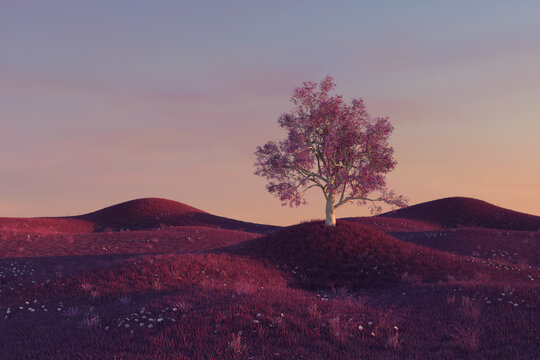 Grassland in pink tones