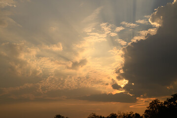 Vanilla sky with cloud and sunlight above trees before sunset, Natural background