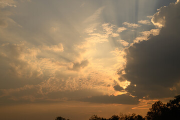 Vanilla sky with cloud and sunlight above trees before sunset, Natural background