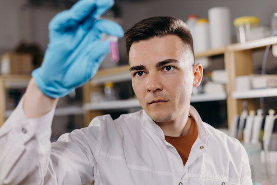 Serious scientist checking sample in test tube