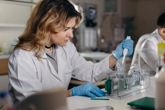 Female scientist working with samples in laboratory