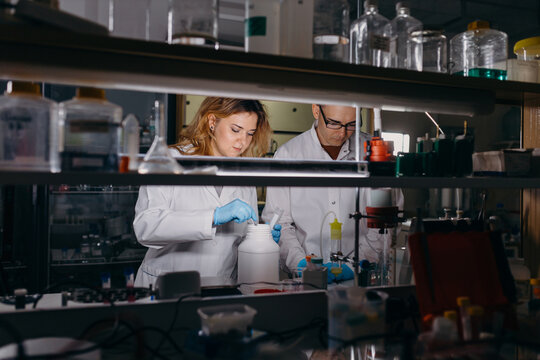 Coworkers doing biochemical research in laboratory
