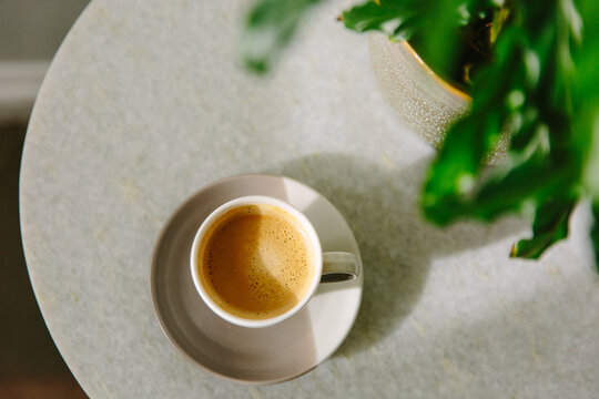 Coffee and plant on a table
