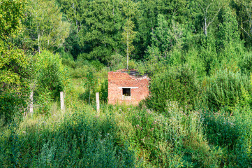 Abandoned old brick building in green forest