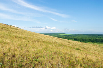 Yellow Hill, Green Forest, and blue Sky