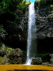 Fototapeta na wymiar waterfall in the forest