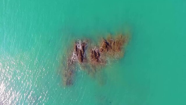 A drone shot of cabo de rama beach in south Goa, India