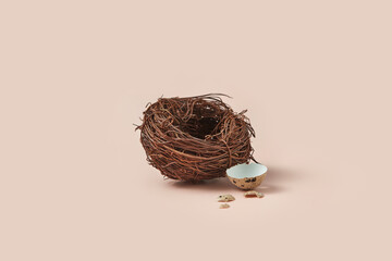 Broken quail egg lying near empty bird nest