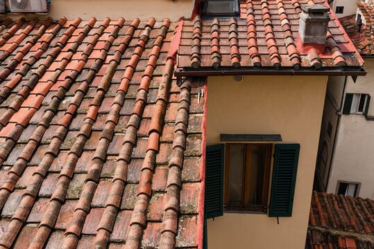 Typical terracotta roof tiles in Florence, Italy