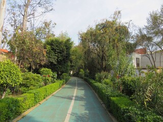green park in San Angel, Mexico city