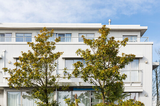 A white sheet metal building with two trees