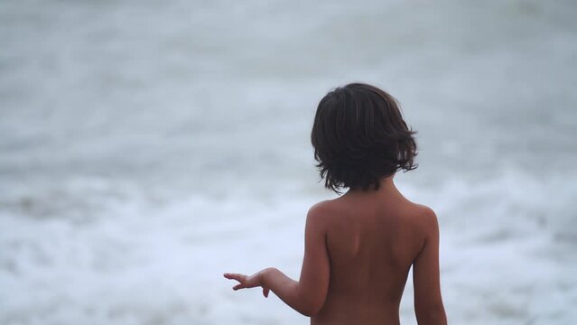 A carefree child watches the waves roll in on a tropical beach.