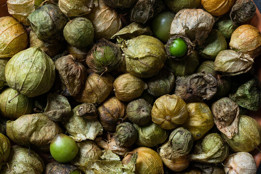 macro of mexican green tomatoes