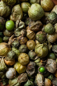 close up of mexican green tomatoes