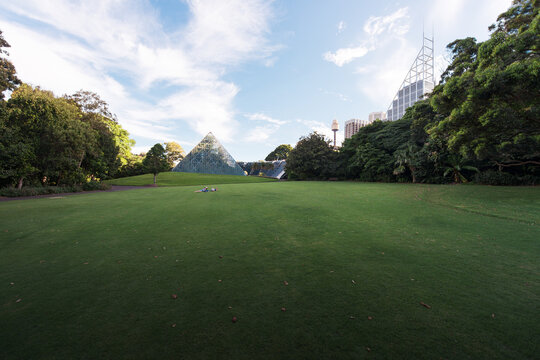 Futuristic nature park in the city