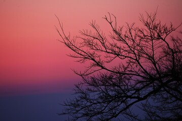 A view of the moment of sunrise and the silhouette of the morning glow. 