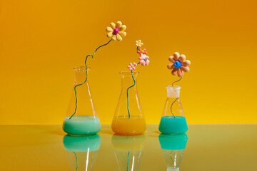 Flower for education in laboratory.