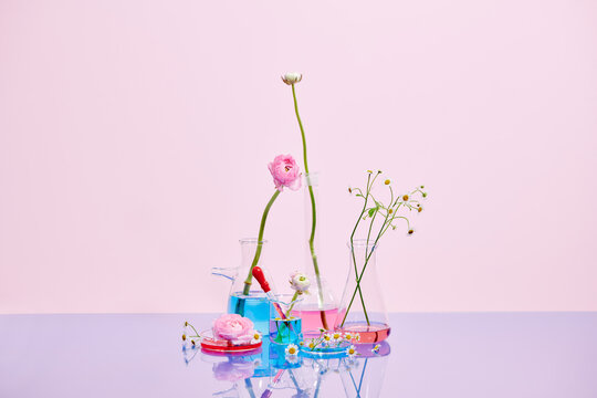 Test tubes with different plants in laboratory, closeup