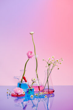 Laboratory glassware with different plants on table indoors