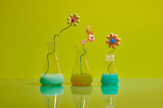 Glass flask and test tubes with flowers for medical health or cosmetic science research laboratory