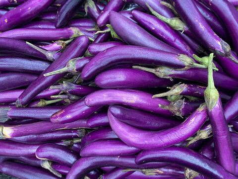 Long asian eggplant