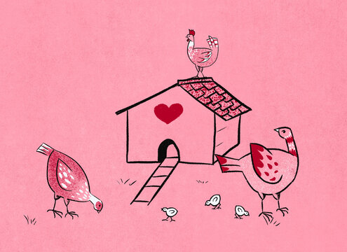 Freerange chickens illustration