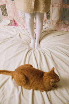 Girl and orange cat in bed