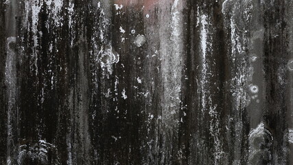 Black moldy wall background. Textures and black mold stains on a leaking concrete wall with copy space. Selective focus