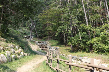 A nice path to take a walk in the mountain.  Mountain path with trees, grass, and wooden fence.