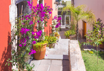 Fototapeta na wymiar Durango, Mexico, colonial colorful city center near central Plaza de Armas and Cathedral Basilica.