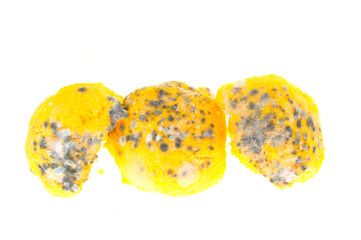 Moldy snacks on a white background
