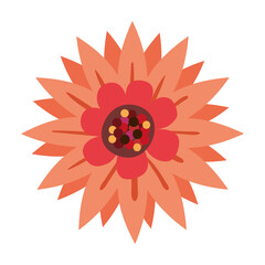 orange flower spring