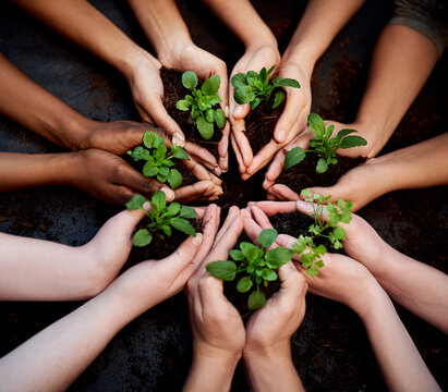 Dont grow apart, grow together. Cropped shot of a group of people holding plants growing out of soil.