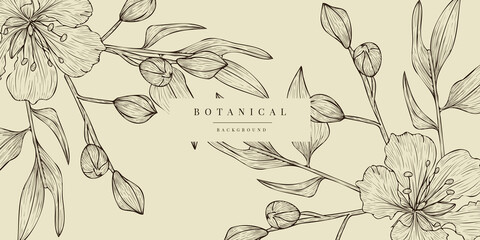 Tropical Plant Illustration