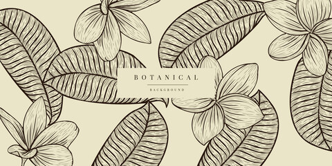 Tropical Plant Illustration