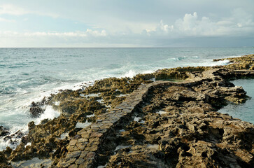 Path at the Caribbean Sea in Mexico, Riviera Maya. Сoral beach