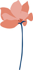 Red and pink flower illustration.