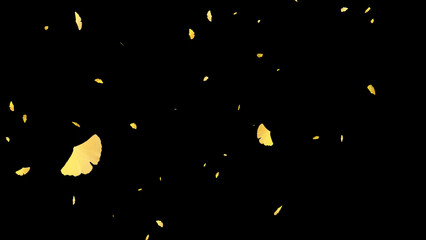 イチョウの葉が舞い落ちる