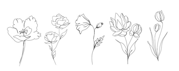Big set of flowers continuous line drawing. One line art. minimalism sketch, idea for invitation, design of instagram stories and highlights icons